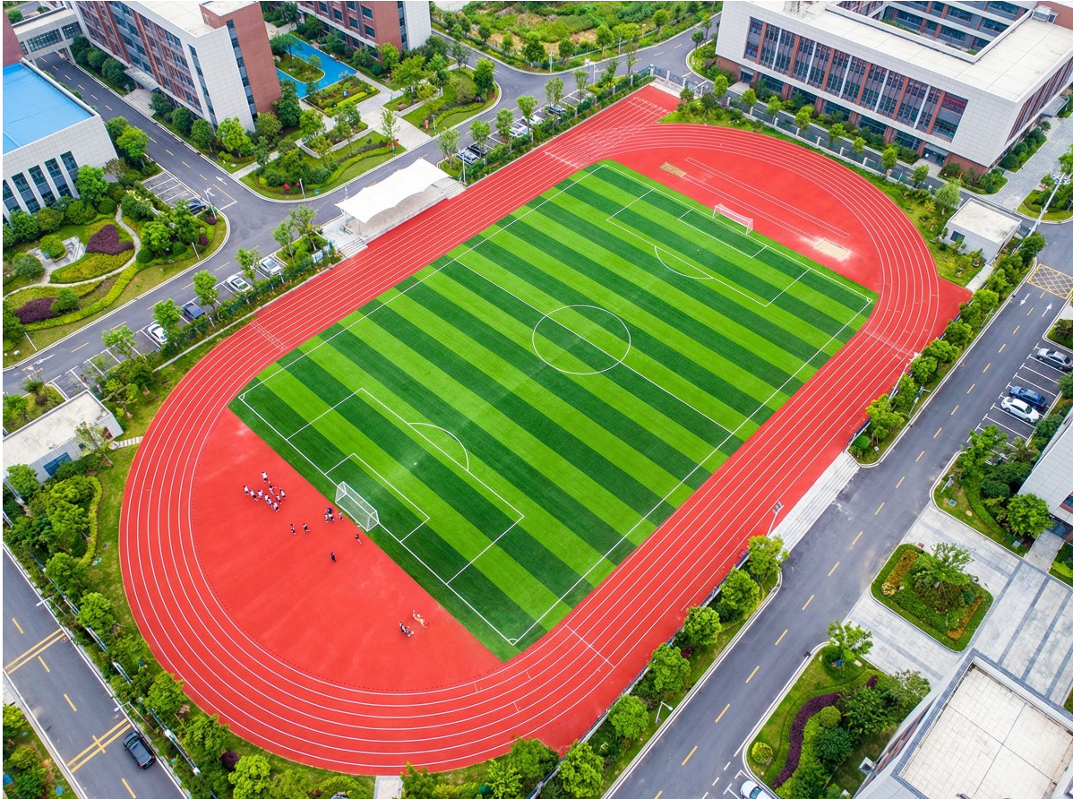 朝阳市全塑型塑胶跑道学校塑胶跑道 - 哪里好